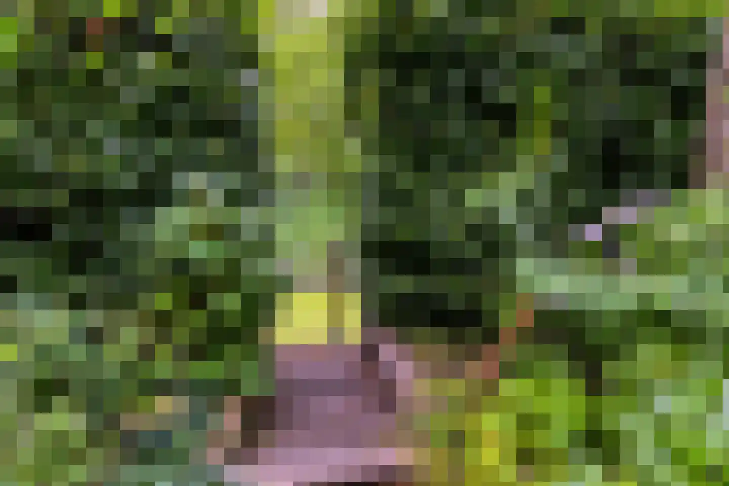Langetuin 3 Zwaag thumbnail 52