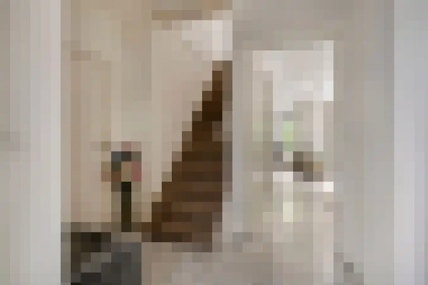 Langetuin 3 Zwaag thumbnail 8