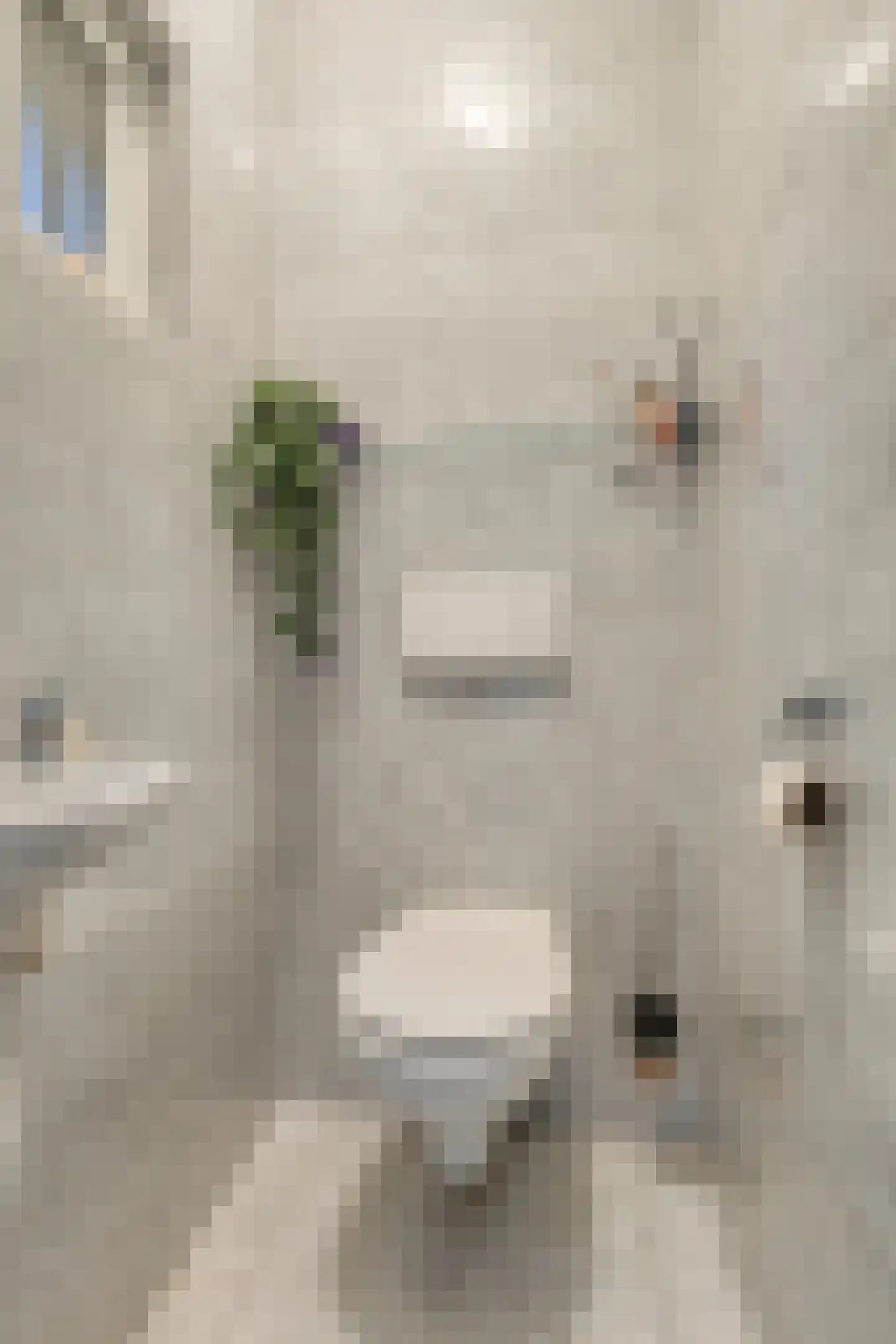 Langetuin 3 Zwaag thumbnail 9