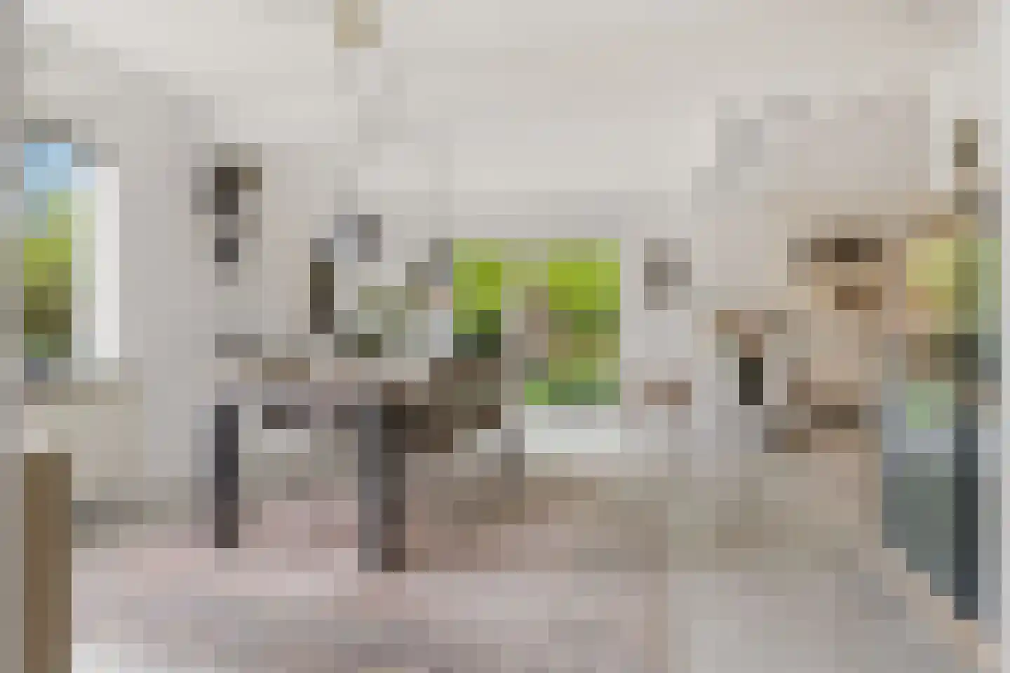Langetuin 5 Zwaag thumbnail 10