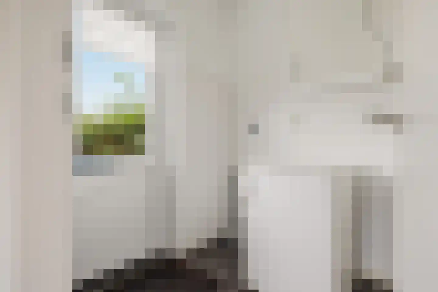 Langetuin 5 Zwaag thumbnail 12