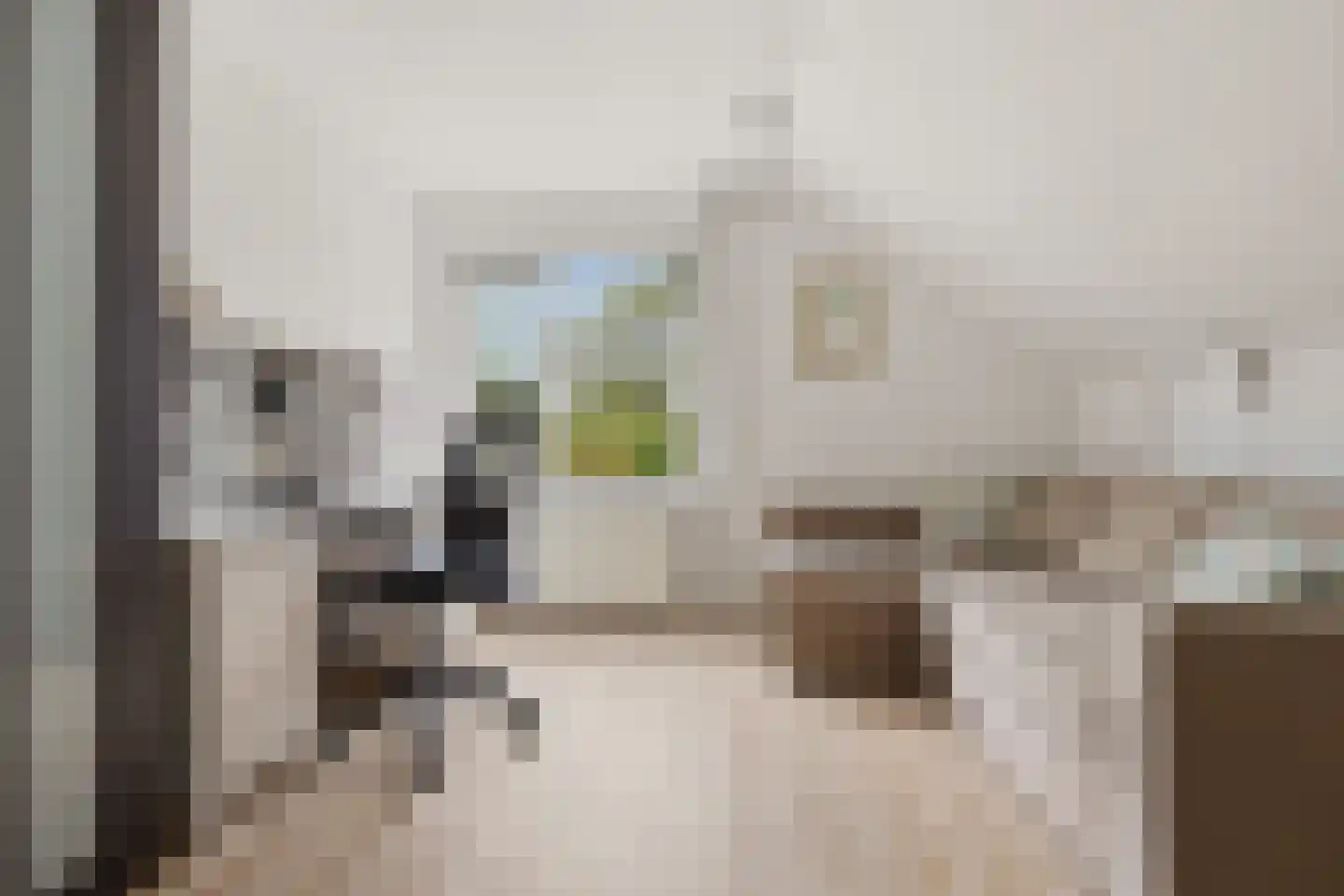 Langetuin 5 Zwaag thumbnail 27