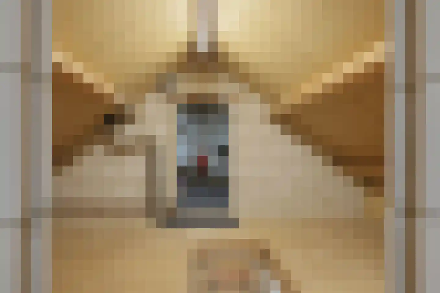 Langetuin 5 Zwaag thumbnail 35