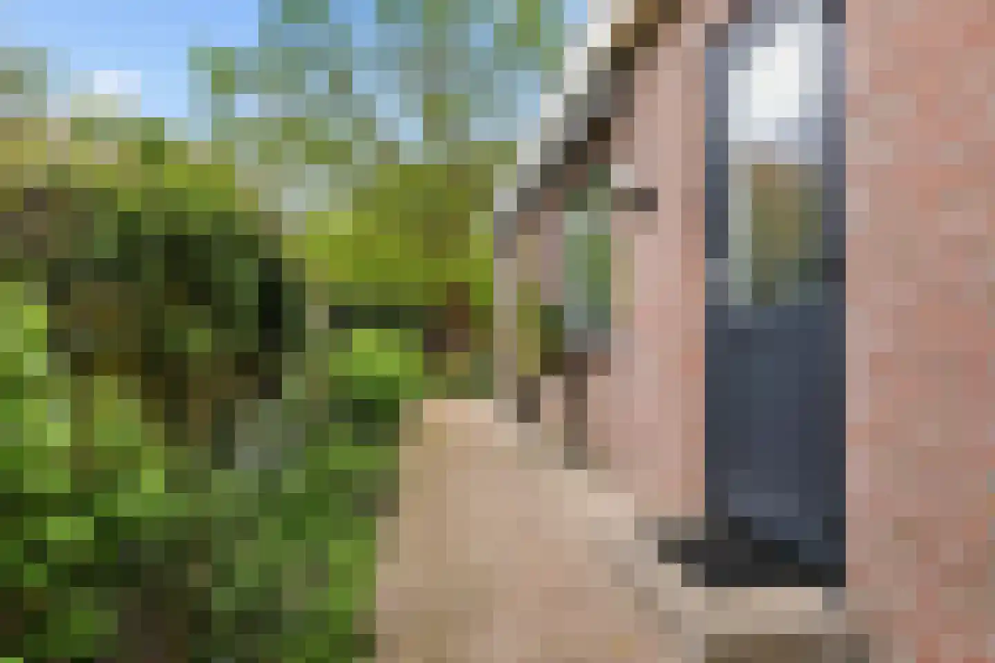 Langetuin 5 Zwaag thumbnail 39