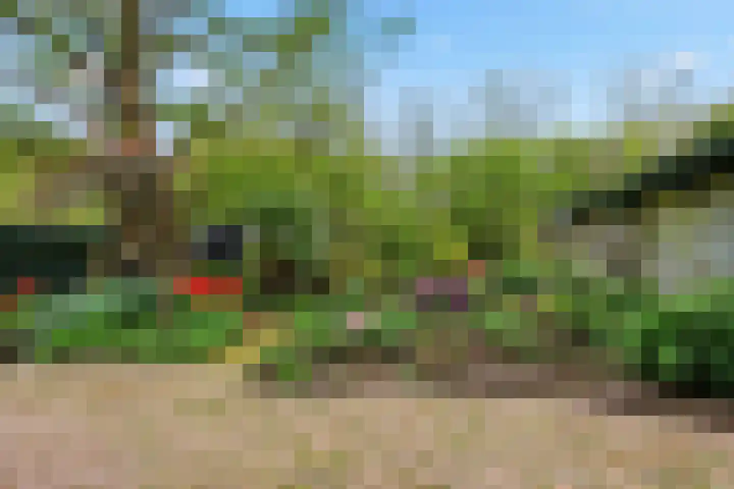 Langetuin 5 Zwaag thumbnail 42