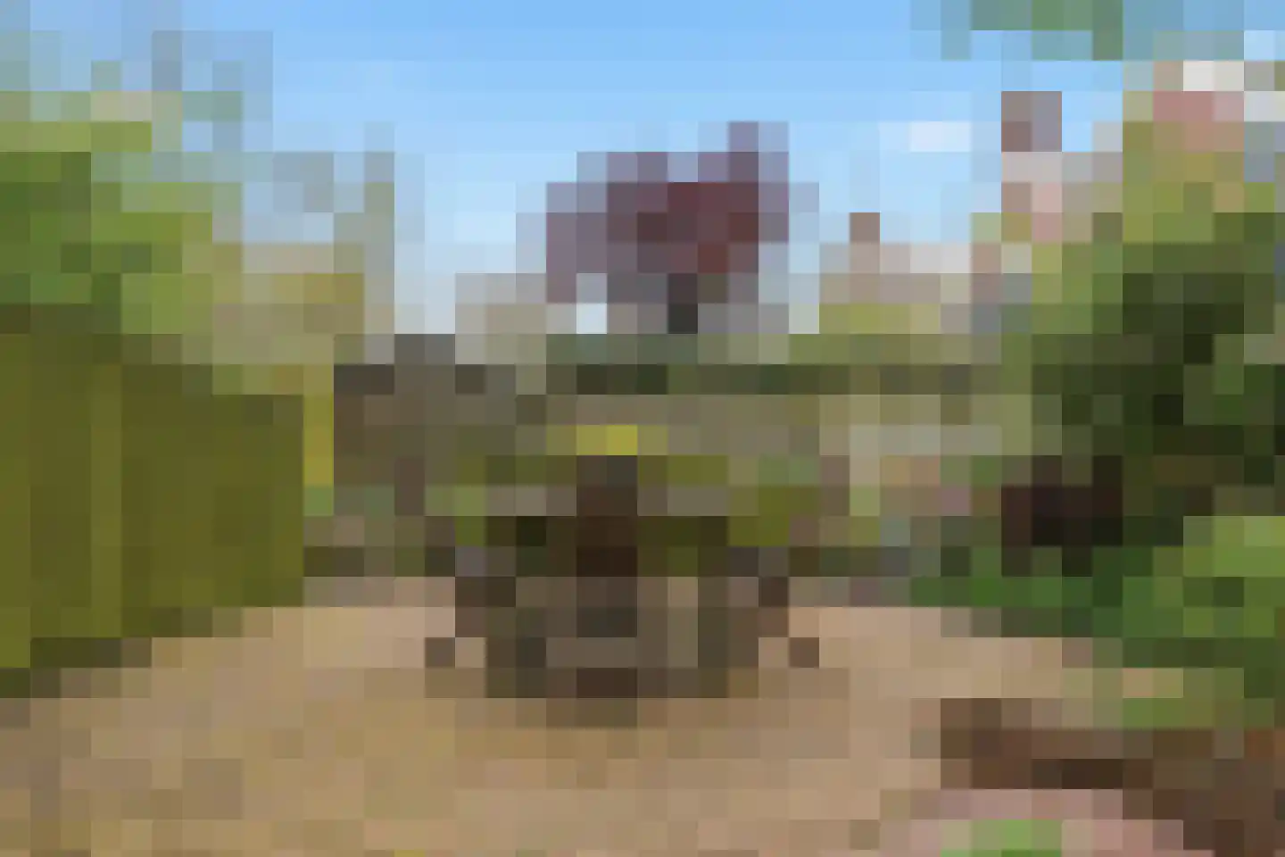 Langetuin 5 Zwaag thumbnail 43
