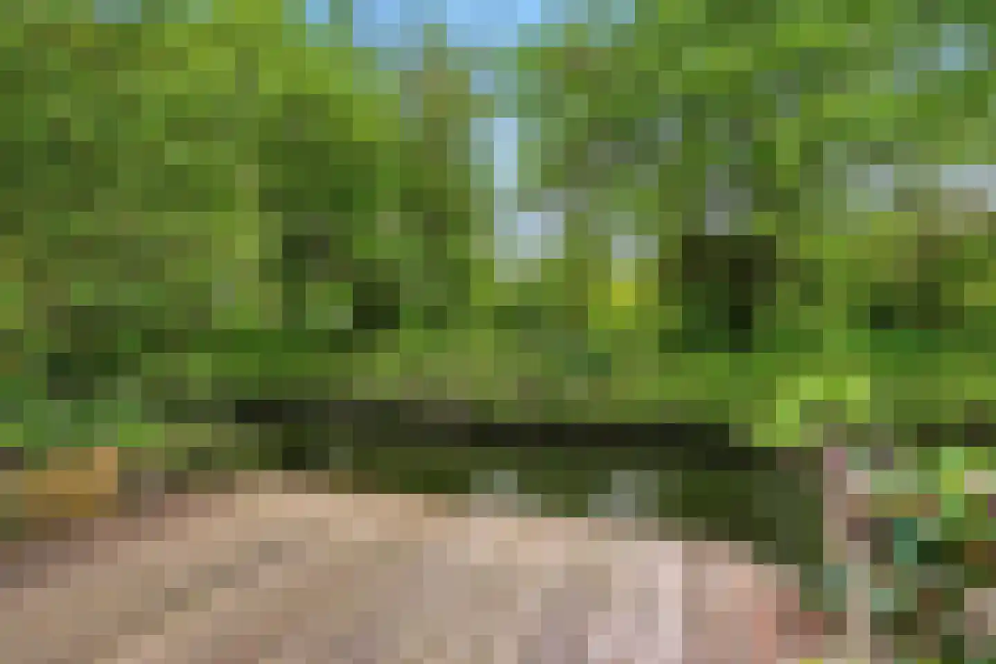 Langetuin 5 Zwaag thumbnail 45