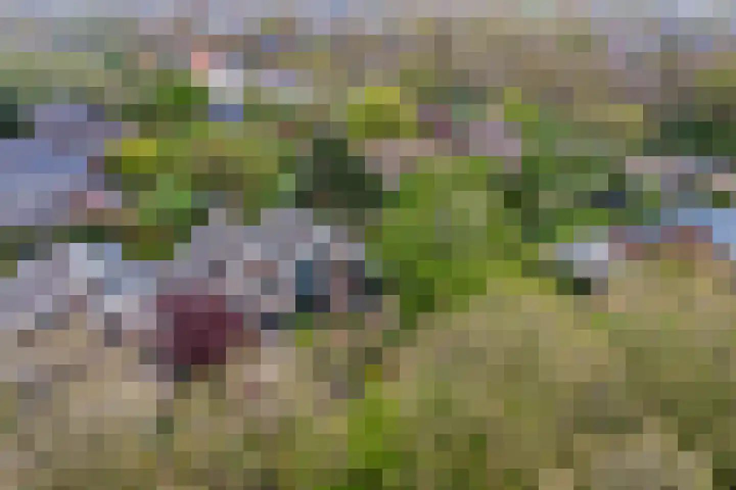 Langetuin 5 Zwaag thumbnail 48