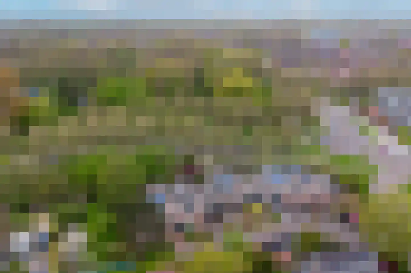 Langetuin 5 Zwaag thumbnail 49