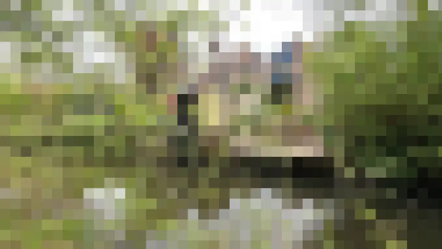 Langetuin 5 Zwaag thumbnail 50
