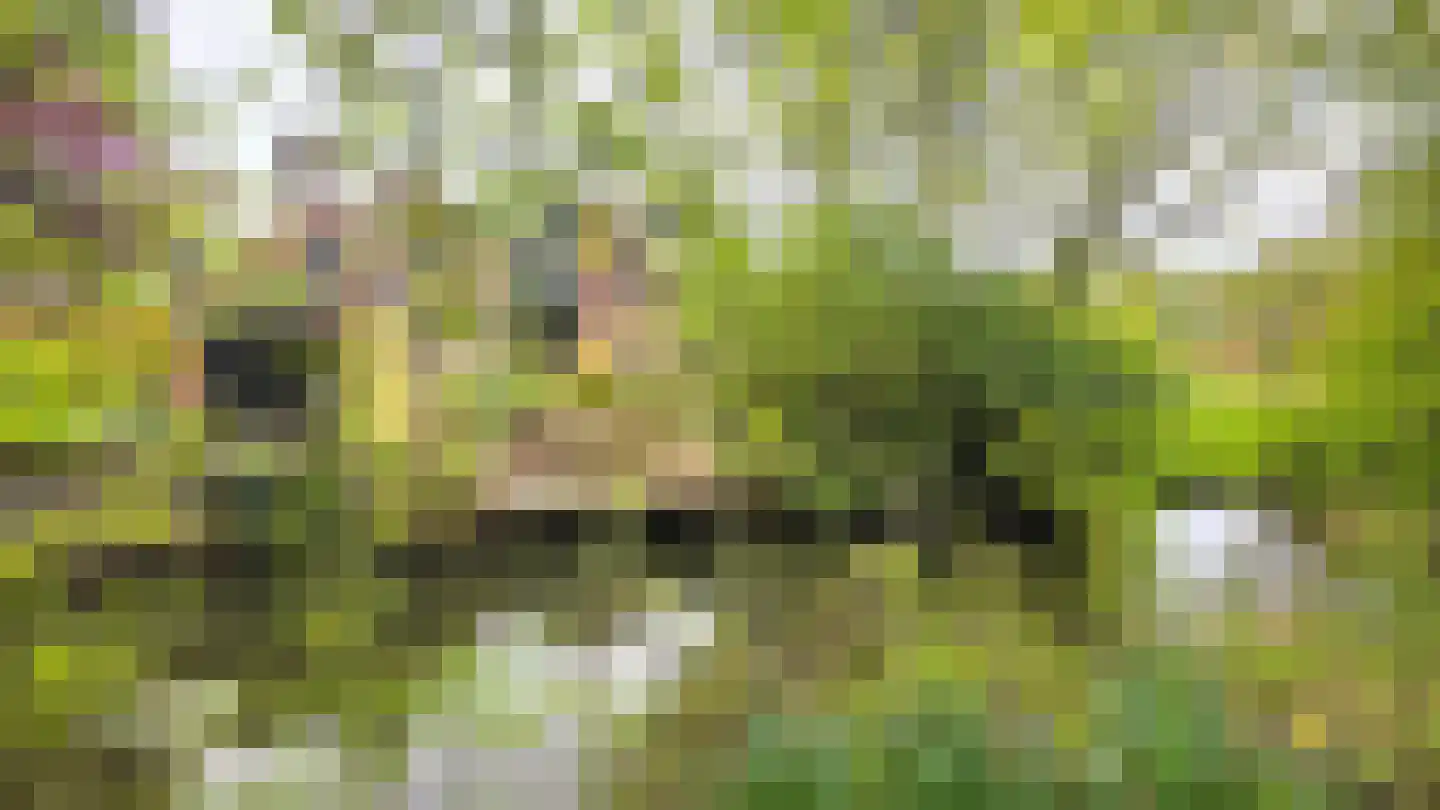 Langetuin 5 Zwaag thumbnail 51