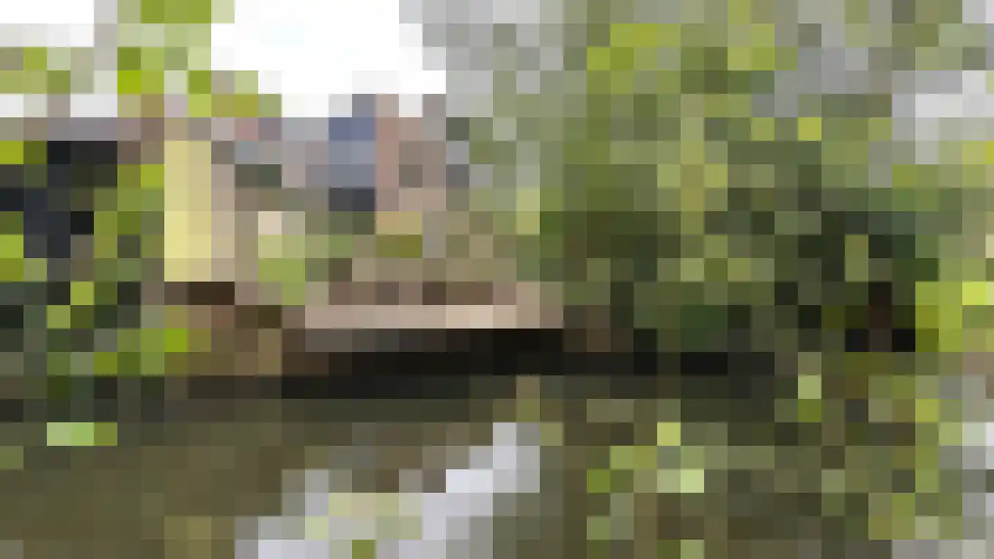 Langetuin 5 Zwaag thumbnail 52