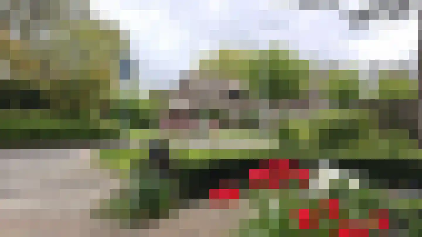 Langetuin 5 Zwaag thumbnail 53