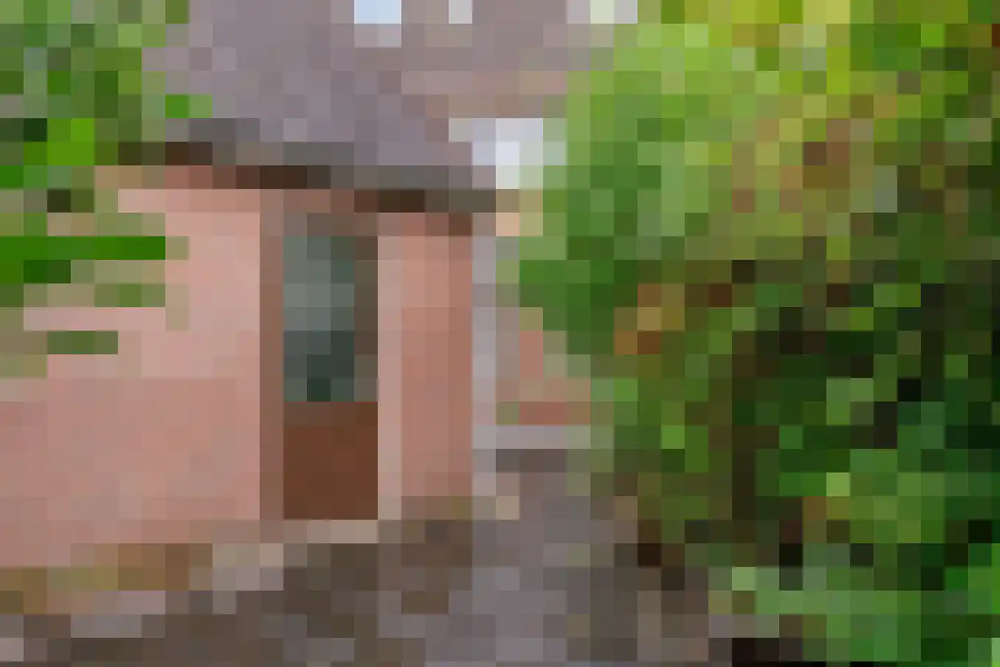Langetuin 95 Zwaag thumbnail 37