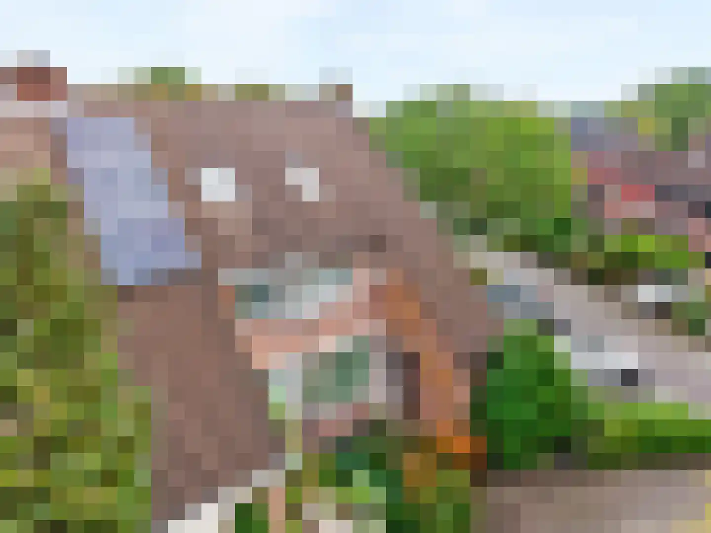 Langetuin 95 Zwaag thumbnail 45