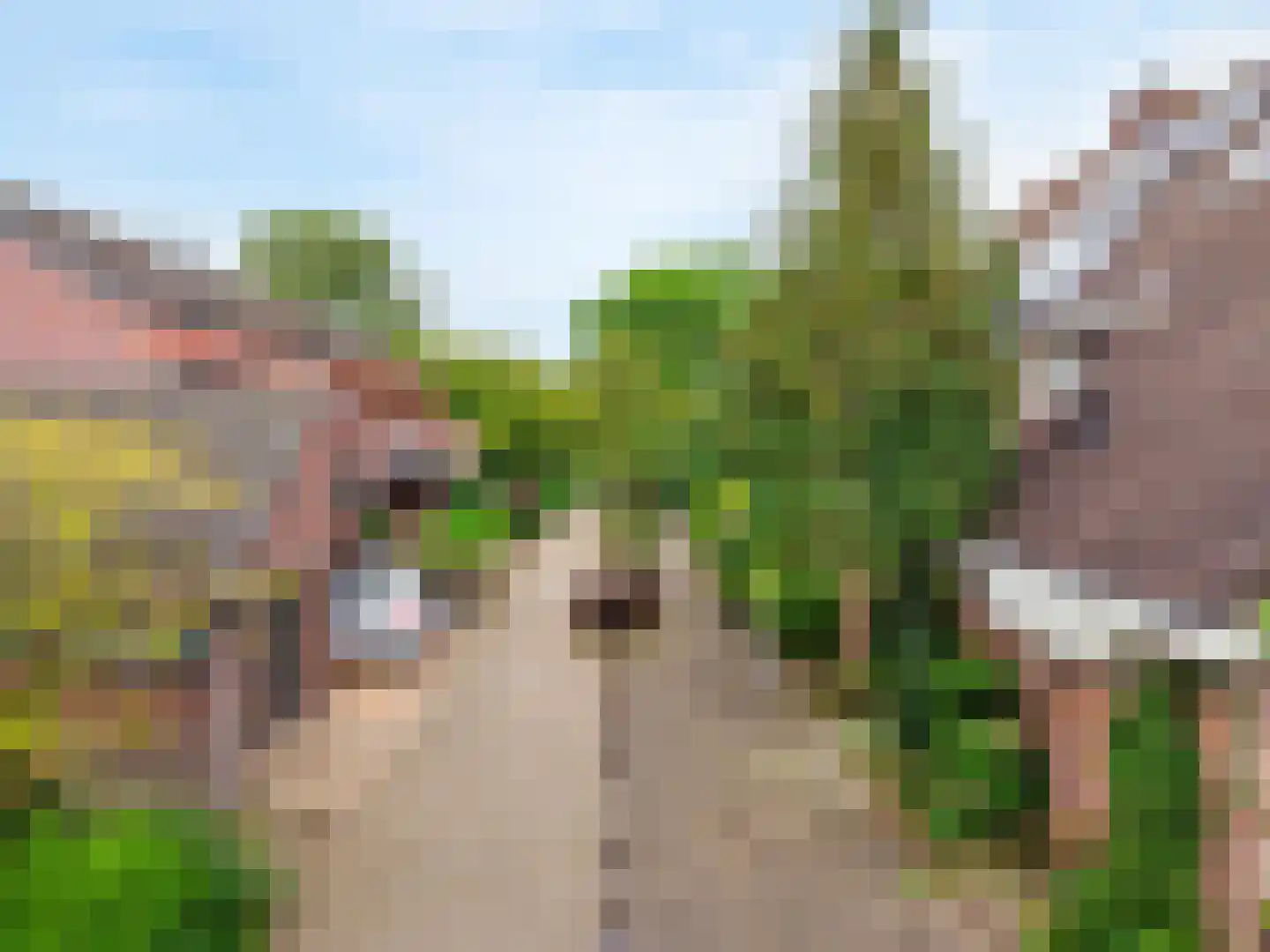 Langetuin 95 Zwaag thumbnail 47