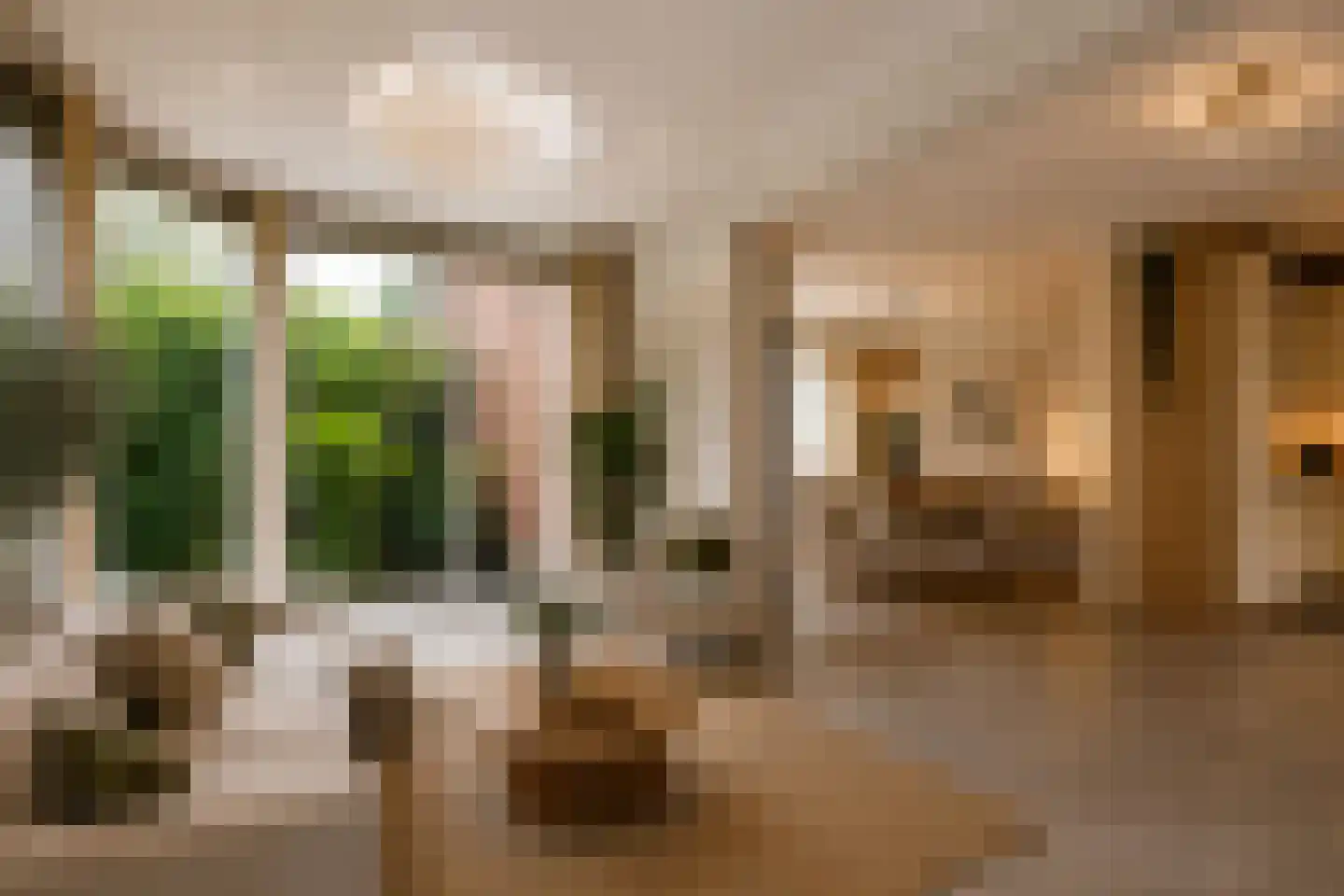 Langetuin 95 Zwaag thumbnail 6