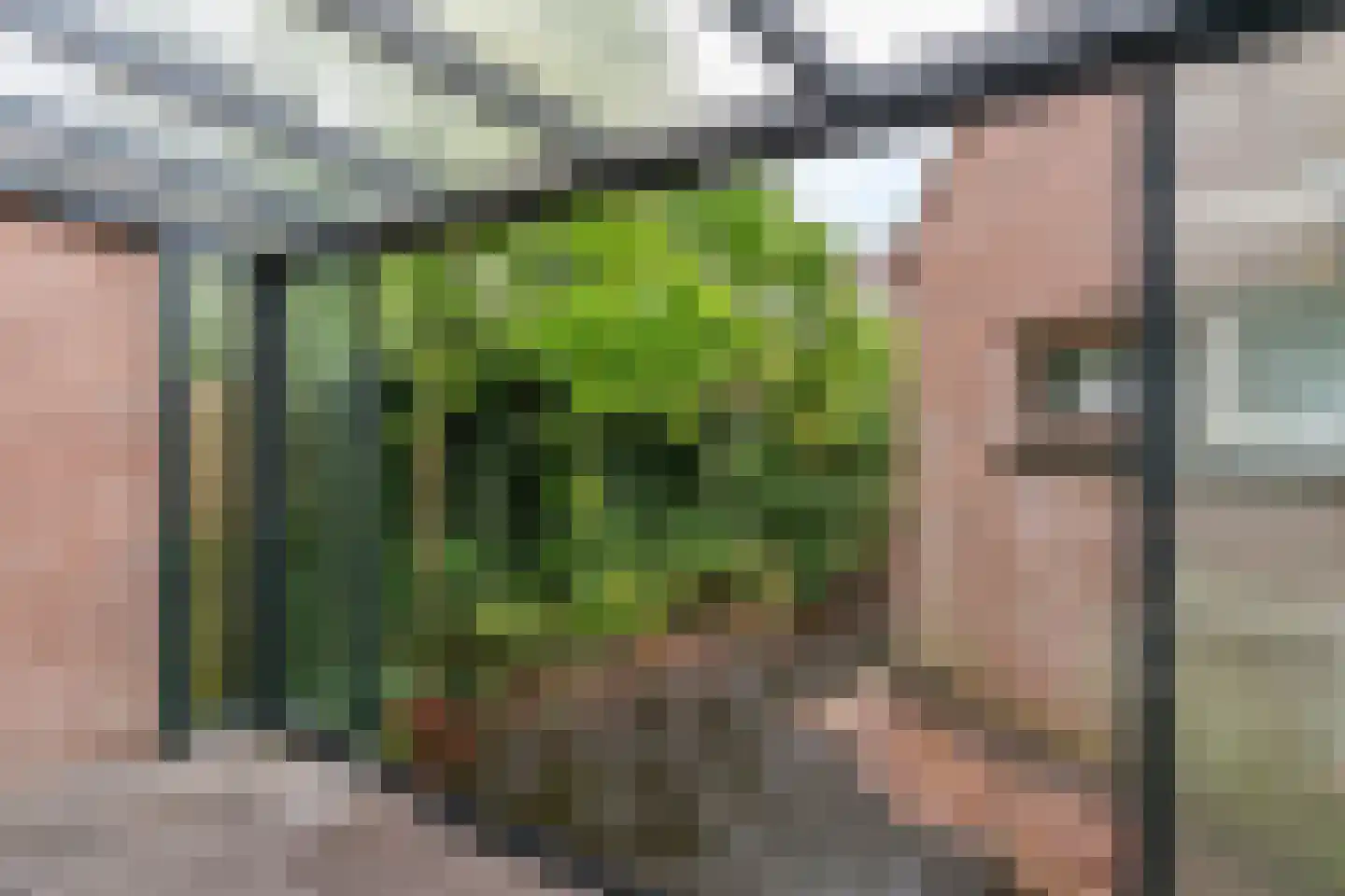 Langetuin 95 Zwaag thumbnail 7