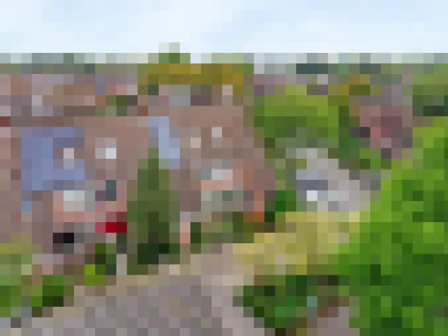 Langetuin 95 Zwaag thumbnail 9