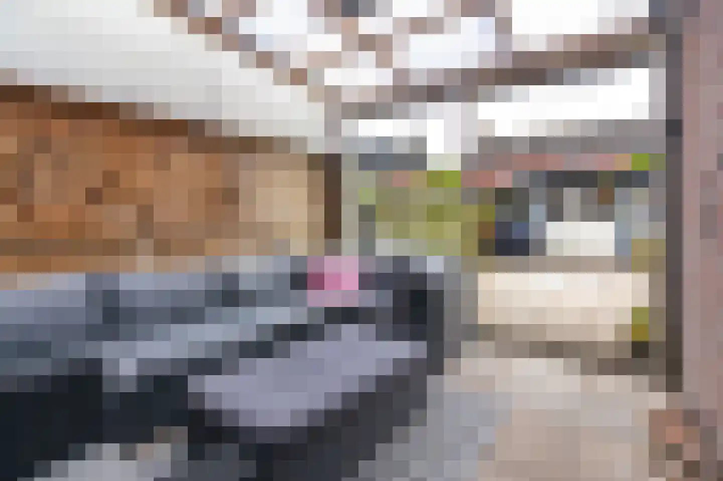 Langetuin 98 Zwaag thumbnail 15
