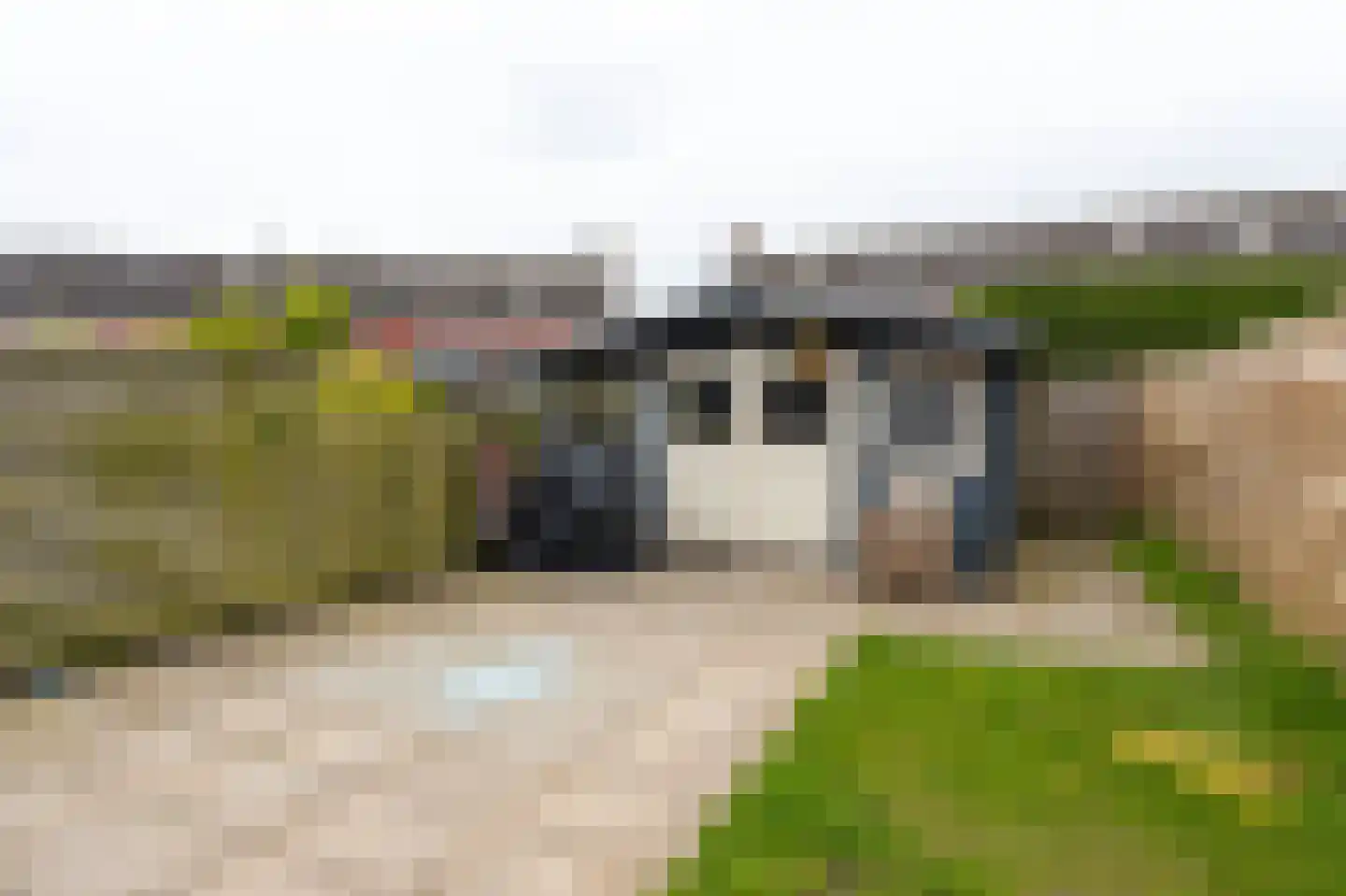 Langetuin 98 Zwaag thumbnail 17