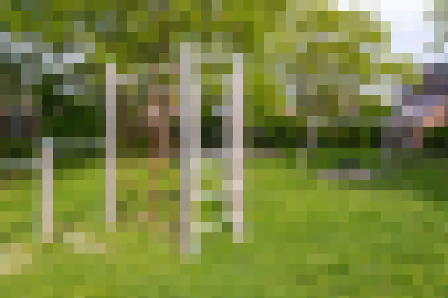 Langetuin 98 Zwaag thumbnail 31