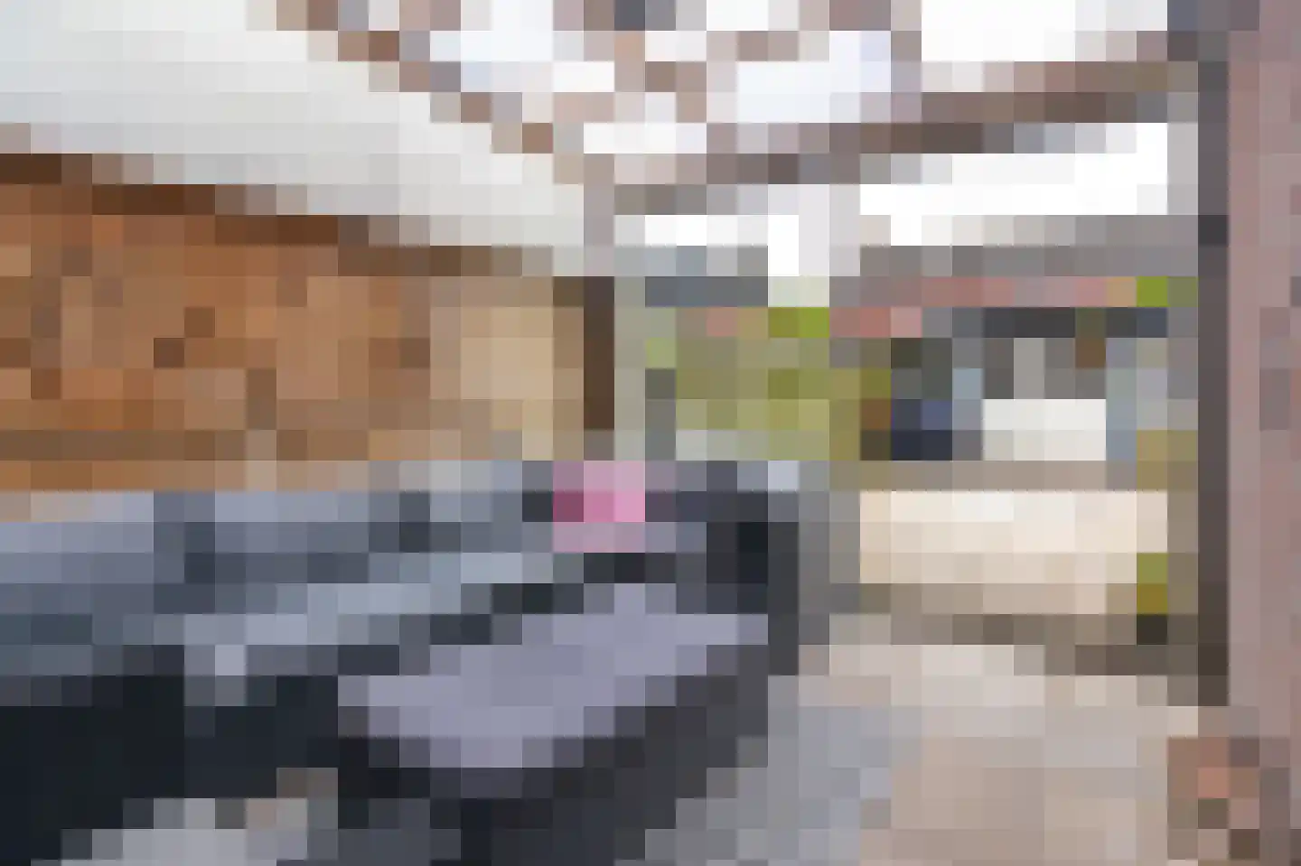 Langetuin 98 Zwaag thumbnail 4