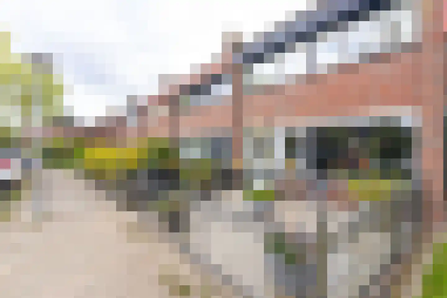 Langetuin 98 Zwaag thumbnail 6