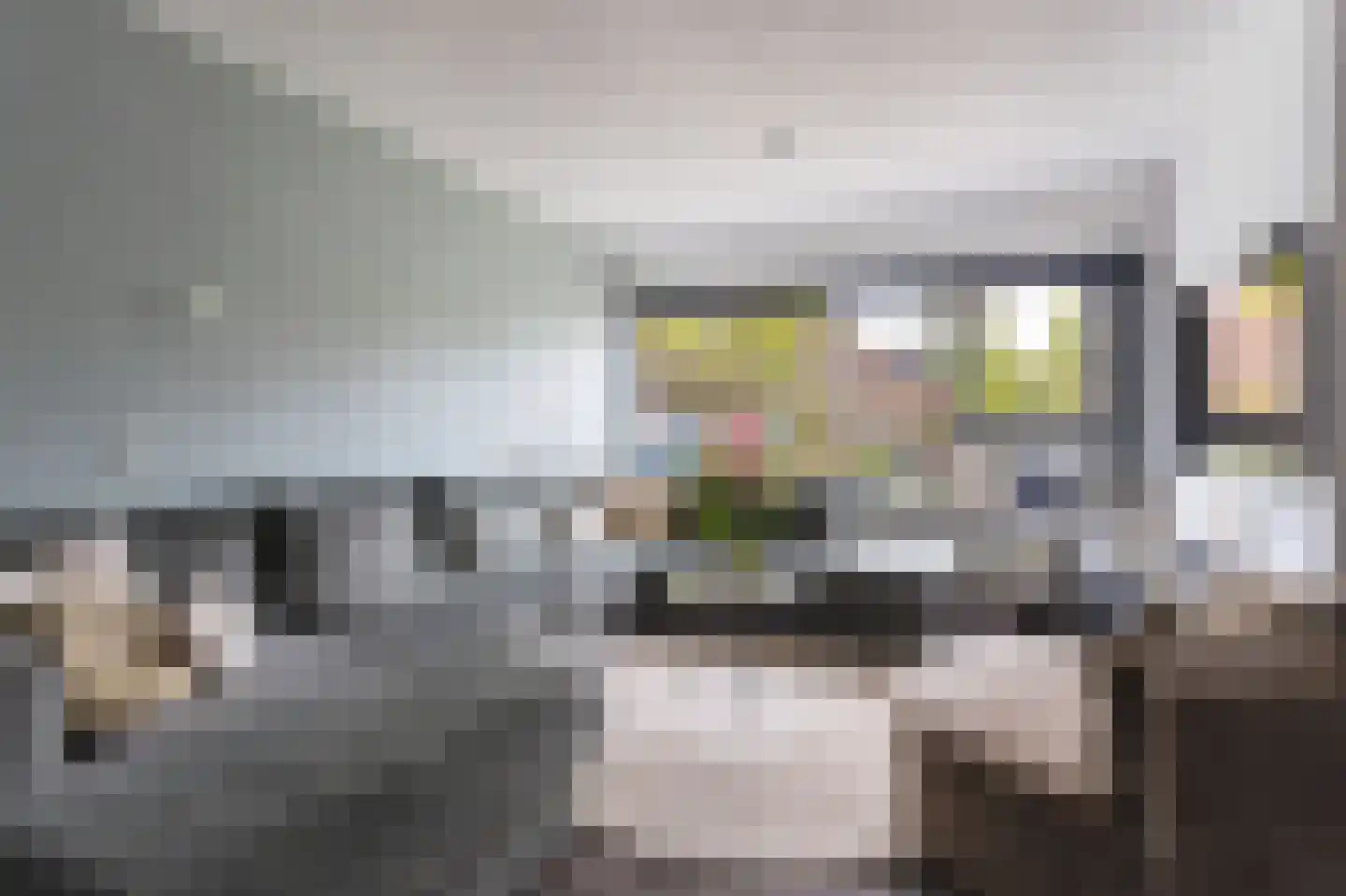 Langetuin 98 Zwaag thumbnail 7