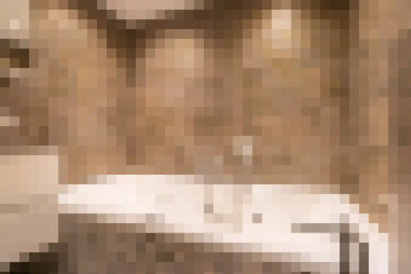 Langevaart 2 Rijnsburg thumbnail 19