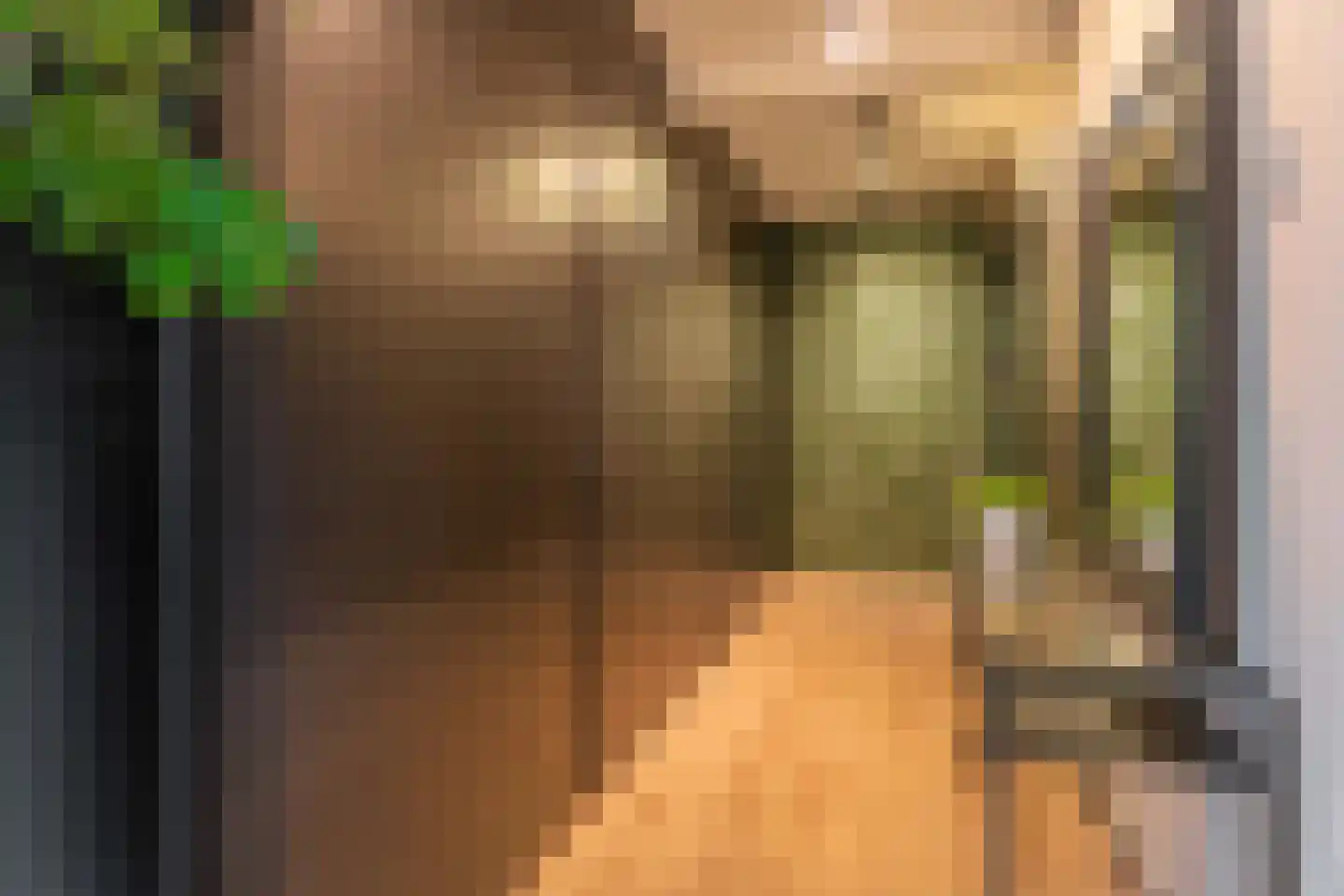Langevaart 2 Rijnsburg thumbnail 25
