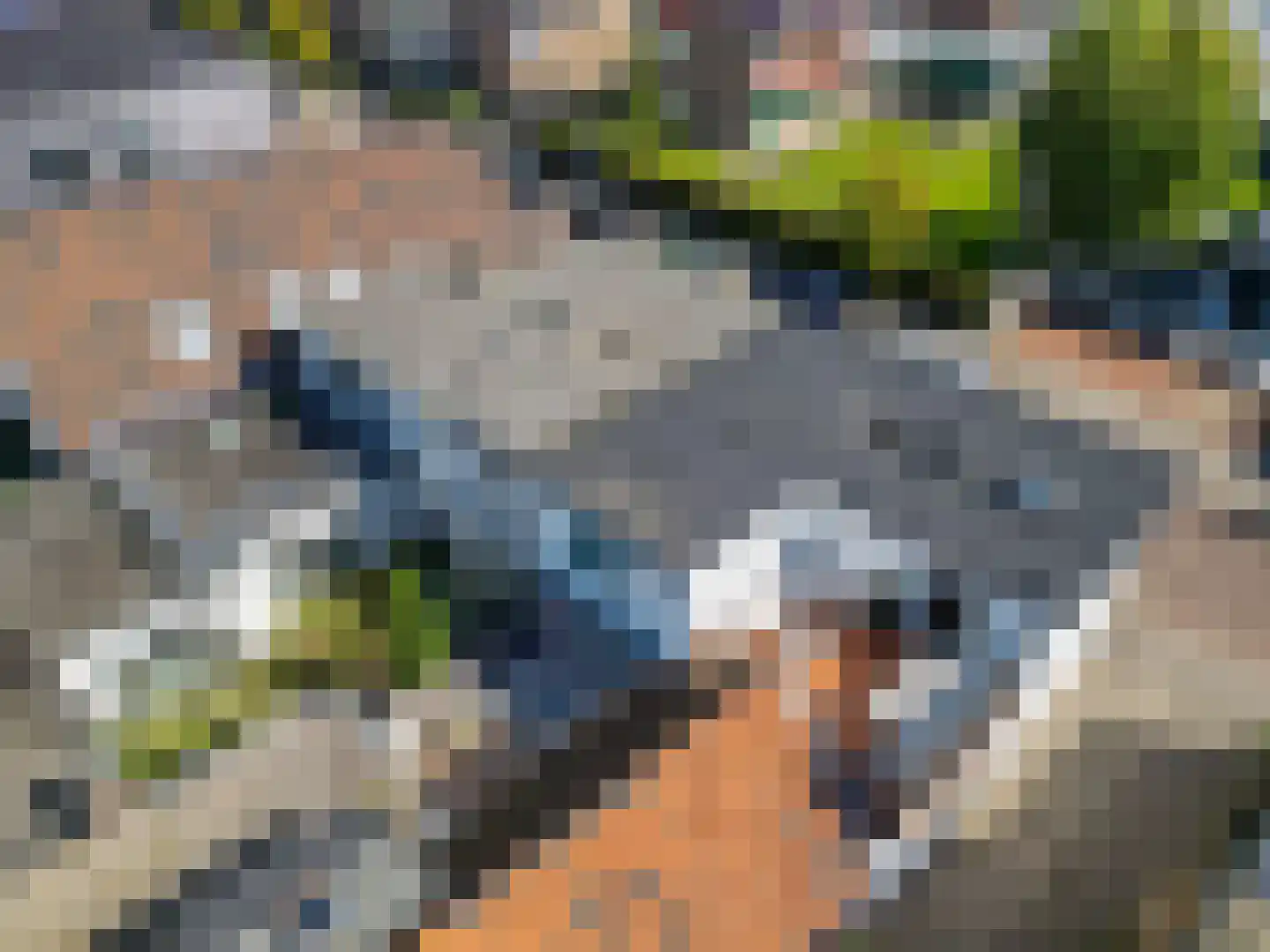 Langevaart 2 Rijnsburg foto 3