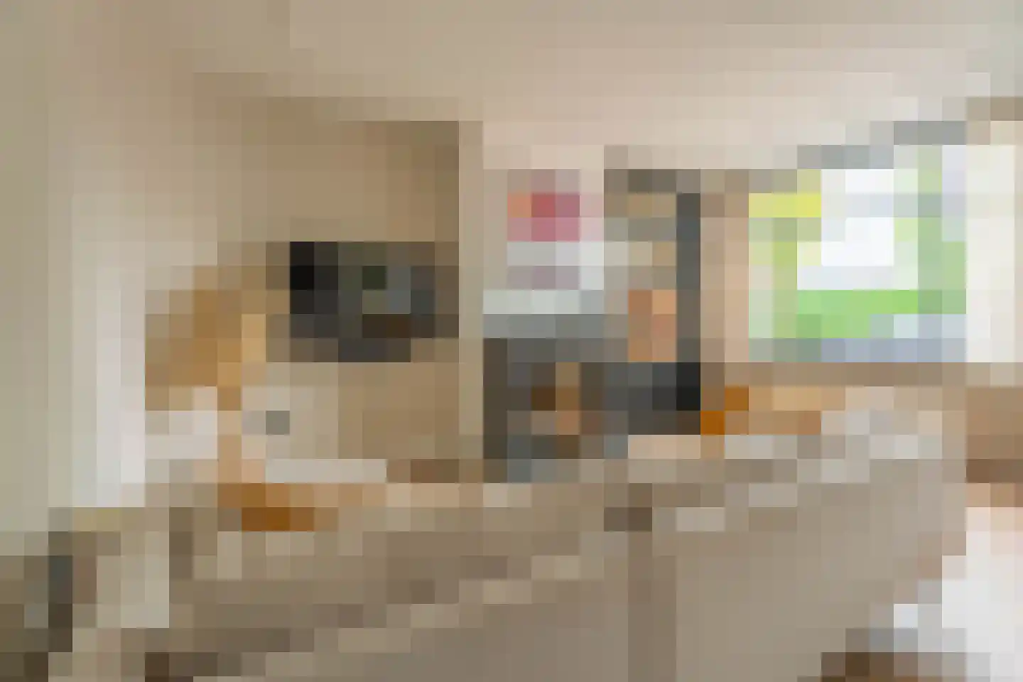 Langevaart 2 Rijnsburg thumbnail 6