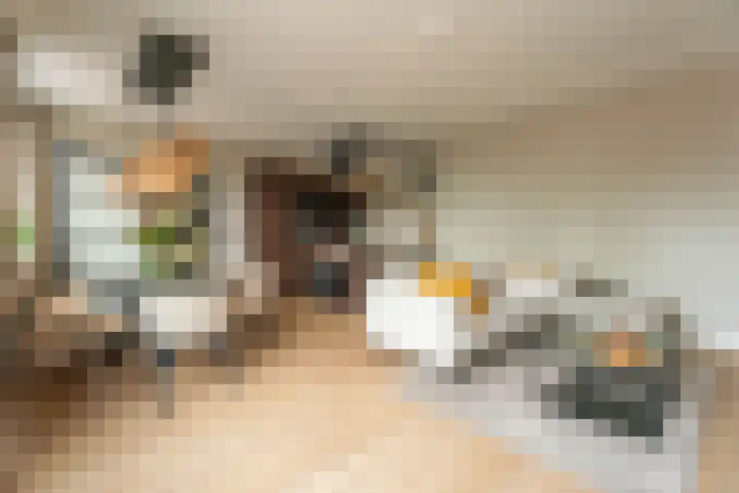 Langevaart 2 Rijnsburg thumbnail 8