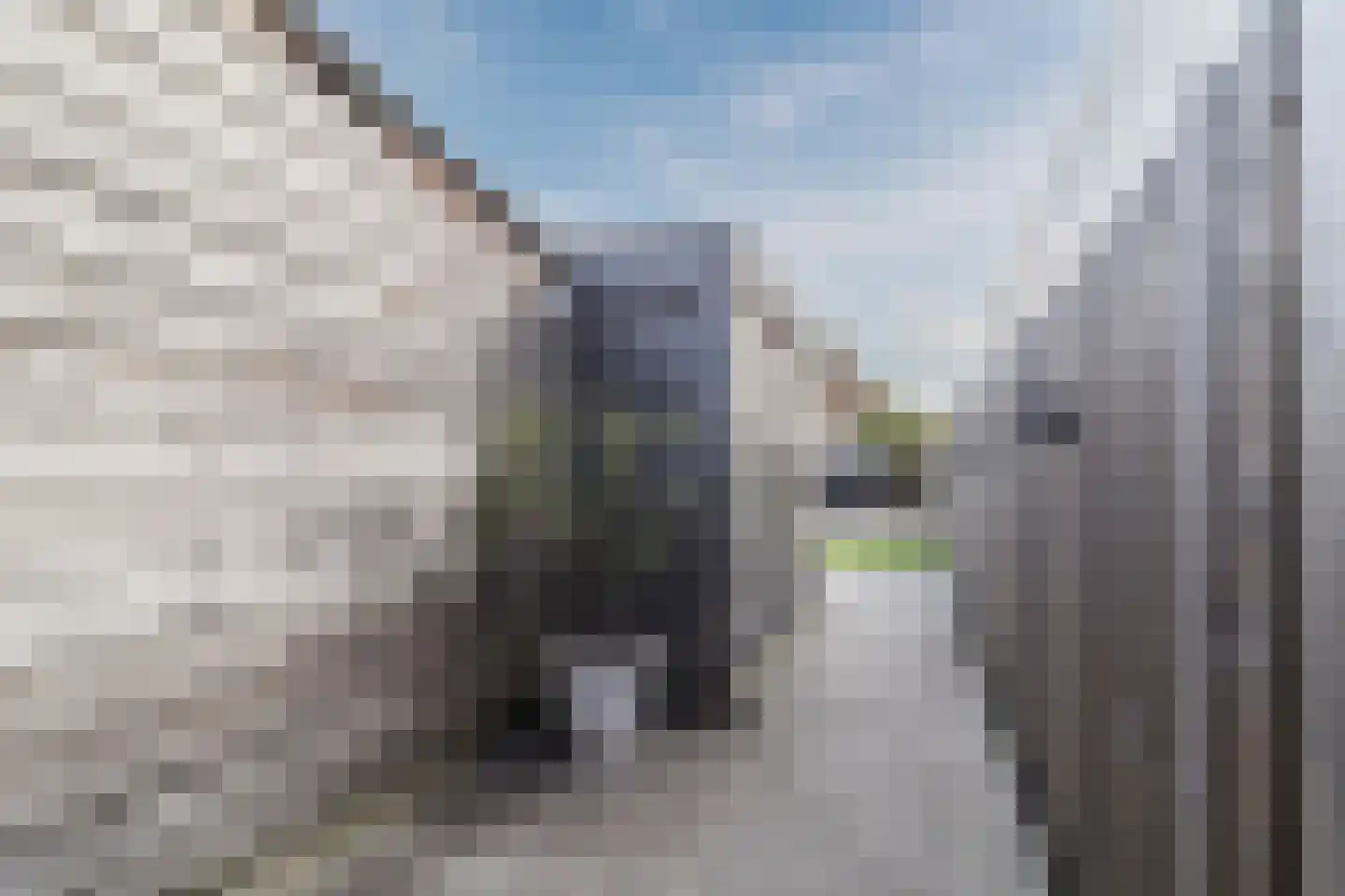 Langevaart 37 Rijnsburg thumbnail 38