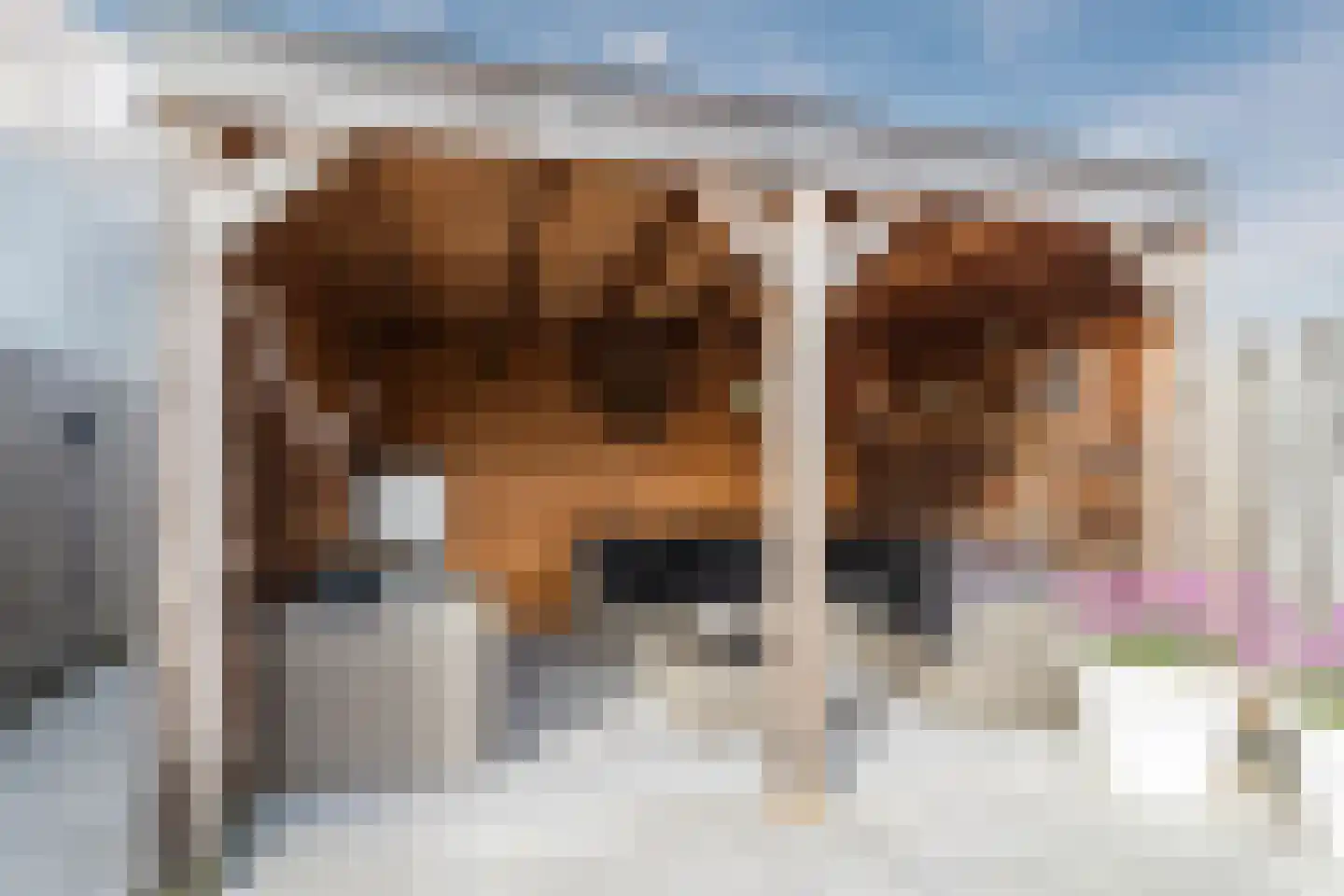 Langevaart 37 Rijnsburg thumbnail 39