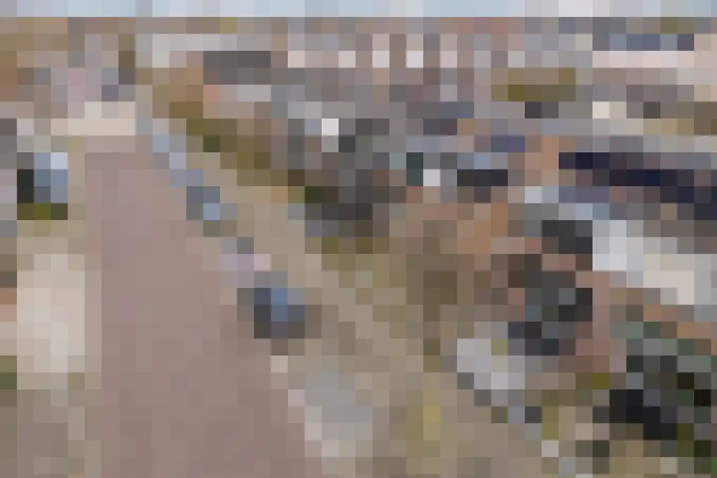 Langevaart 37 Rijnsburg thumbnail 4