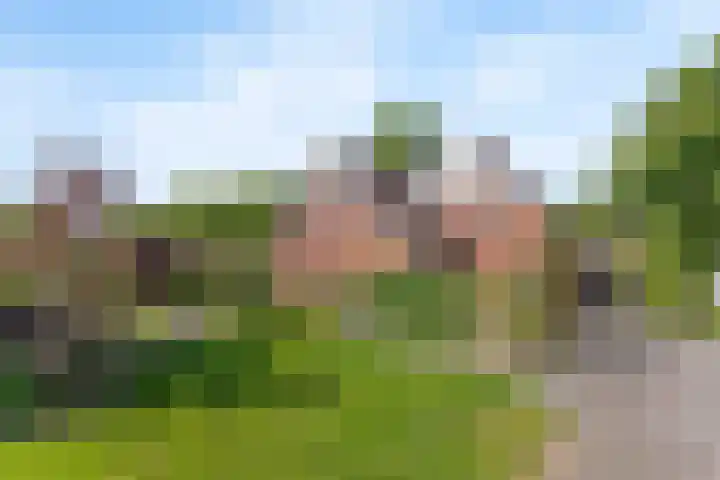 Langeveenseweg 106 Geesteren thumbnail 18