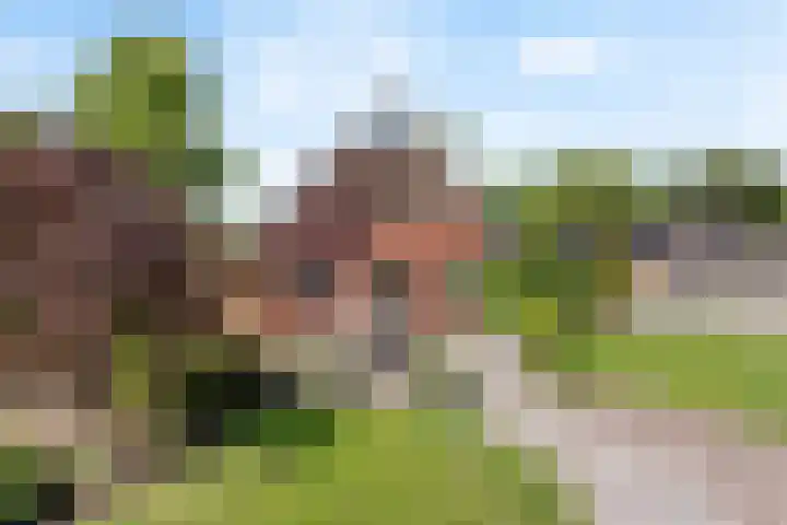 Langeveenseweg 106 Geesteren thumbnail 20