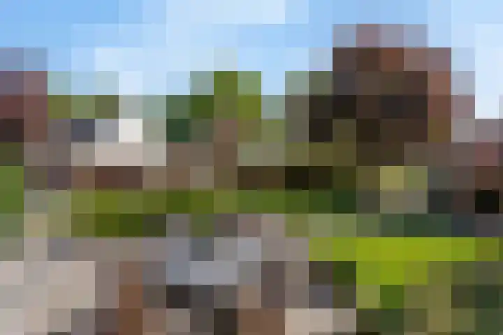 Langeveenseweg 106 Geesteren thumbnail 21