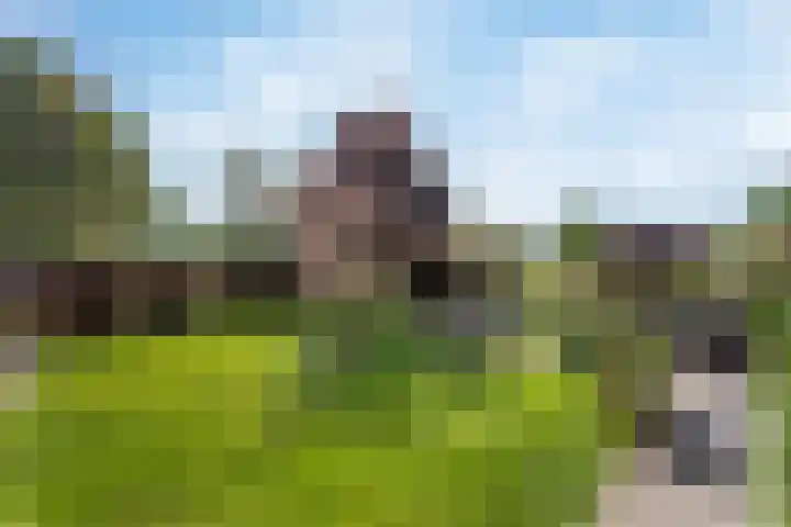 Langeveenseweg 106 Geesteren thumbnail 23