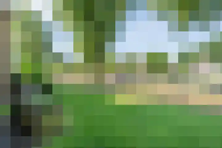 Langeveenseweg 108 Geesteren thumbnail 27