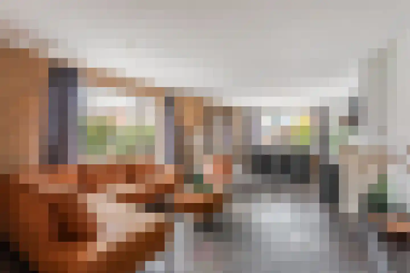 Langeveenseweg 17 b Geesteren thumbnail 7