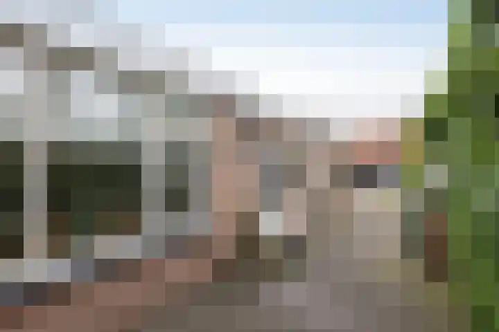 Langeveenseweg 73 Geesteren thumbnail 17