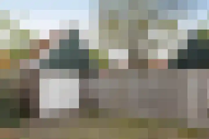 Langeveenseweg 73 Geesteren thumbnail 19
