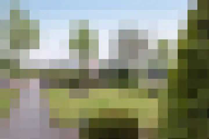 Langeveenseweg 73 Geesteren thumbnail 21
