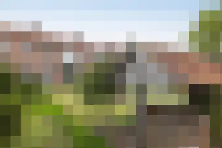 Langeveenseweg 73 Geesteren thumbnail 22