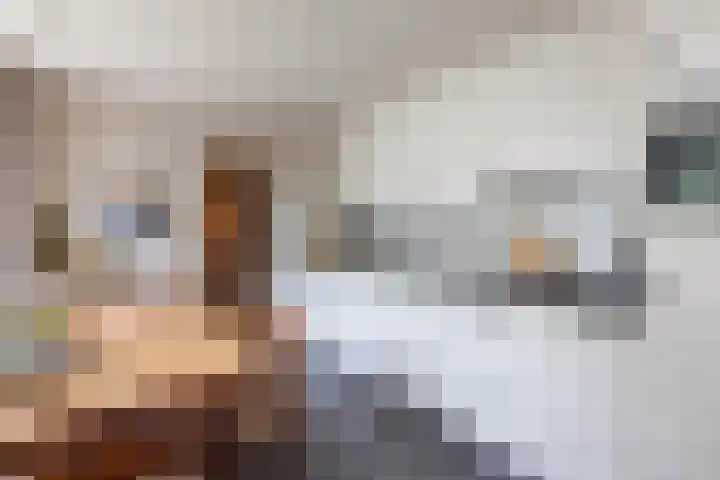 Langeveenseweg 73 Geesteren thumbnail 8