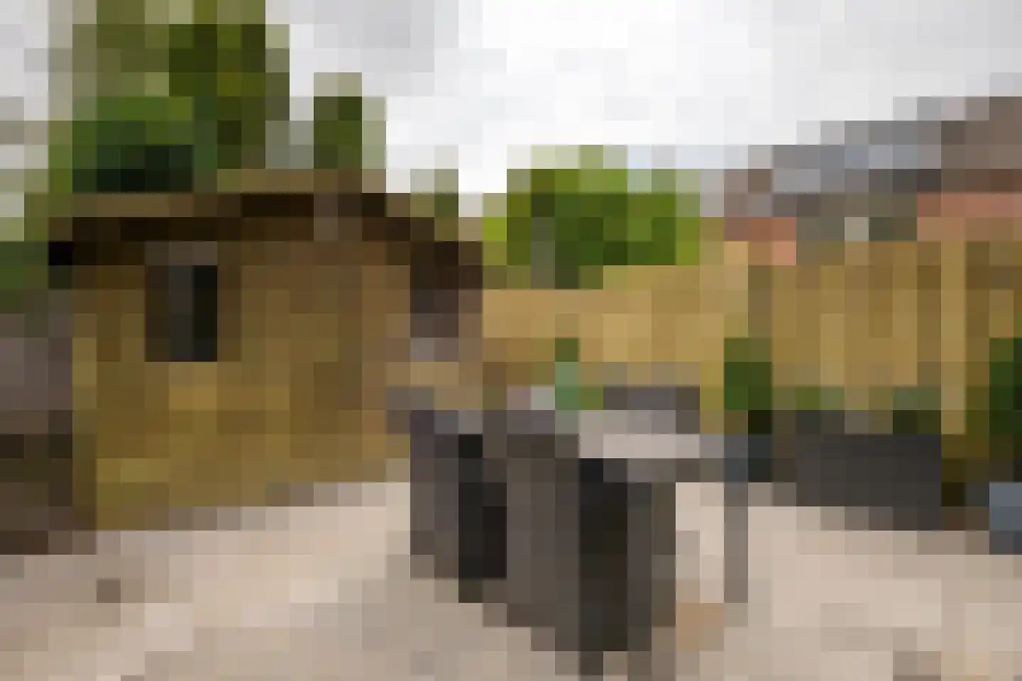 Langeveld 3 Roosendaal thumbnail 28