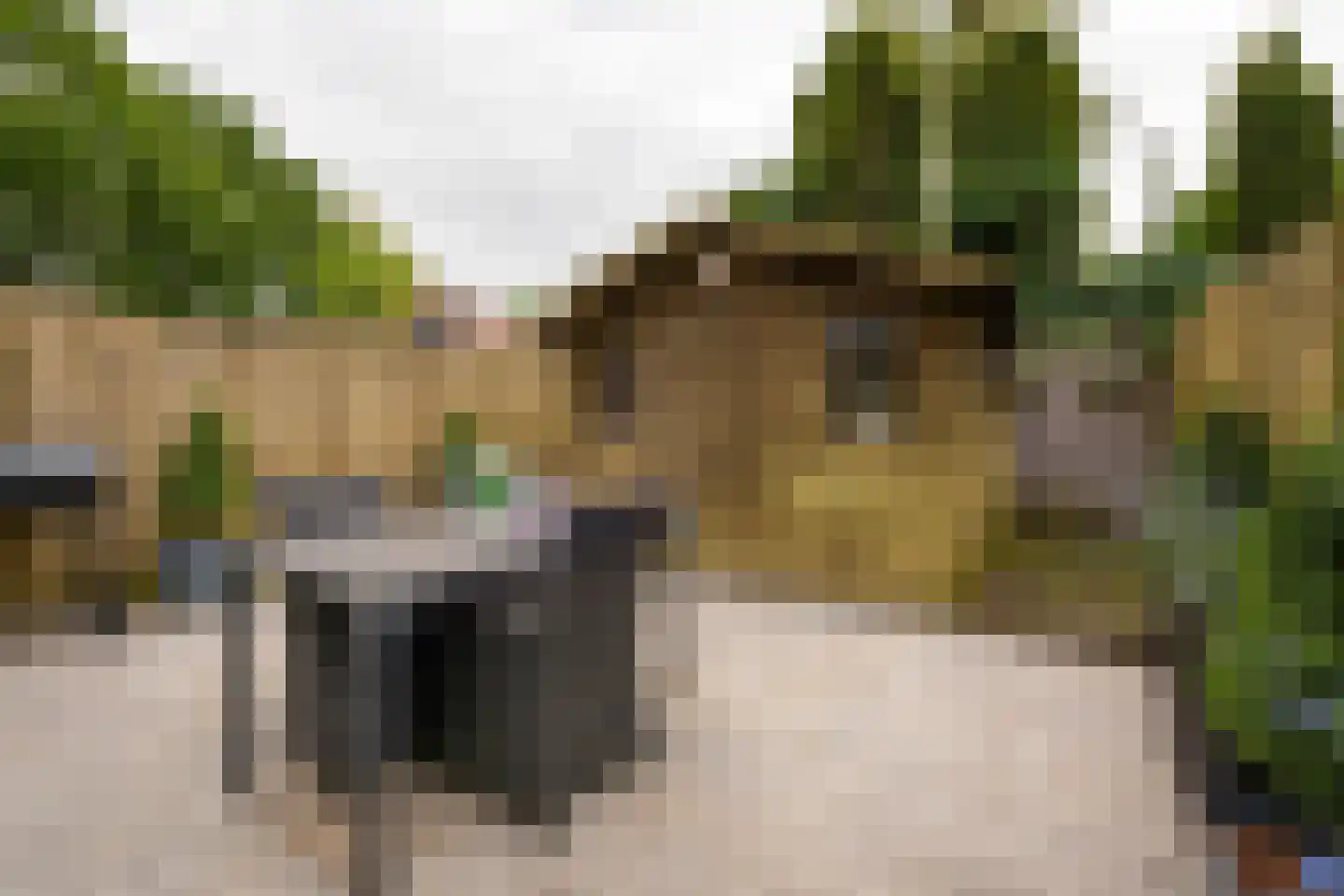 Langeveld 3 Roosendaal thumbnail 29